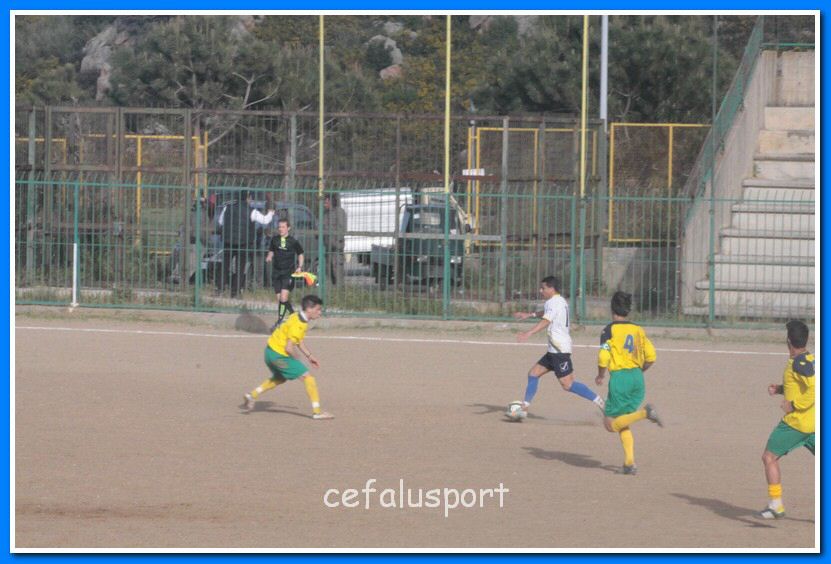130406 delfini 137_tn.jpg
